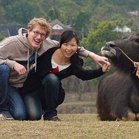 Zdjęcia użytkownika Yaxian Hu