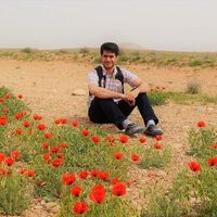 Ehsan T's Photo