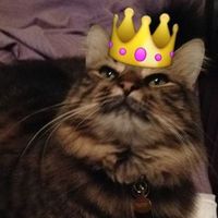 Fotos de Bianca Libanori Artiaga