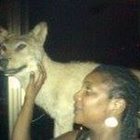 Bisi Lalemi的照片