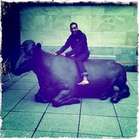 Kanwar Sandhu's Photo