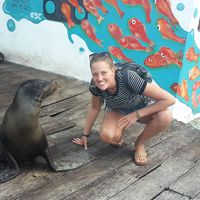 Anna Koerte的照片