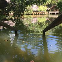 Livia Dickson's Photo