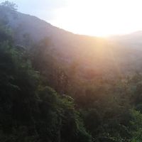 Jithu P Jacob's Photo