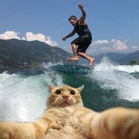 Luca Quaroni's Photo