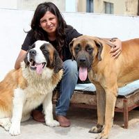 Sampada Rao's Photo