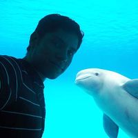 Rogelio Rodríguez's Photo