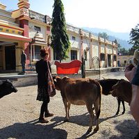 Laura Leitner's Photo