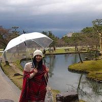 Shan Shan Wong的照片