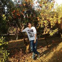 Fotos von David Shakhnovich