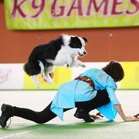 Fotos von Hizuru Nagamori