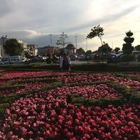 Zdjęcia użytkownika Tasneem Elfatih