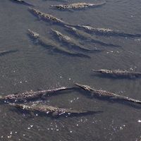 Leni Gutierrez's Photo