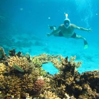 Zdjęcia użytkownika Giuseppe la Malfa