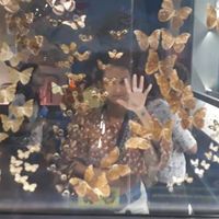 Ingrid R. Paiva's Photo