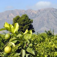 Samantha Palos的照片