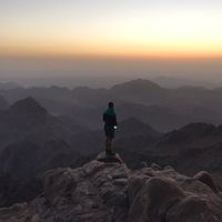 Mohamed Hosny的照片