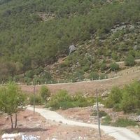 omerta forever's Photo