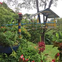 Ecofinca El Recreo Ruiz Sabogal's Photo