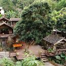 Let’s Go to Mae Kampong 's picture