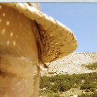 Miroslav Zselinsky's Photo