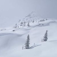 Andrew White's Photo