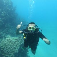 Ahmed Elshirbeny's Photo