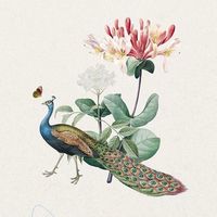 Photos de Lola Haggag