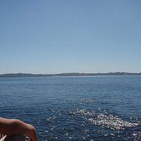 Sandra Vergara's Photo