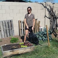 Lucy Rollins的照片