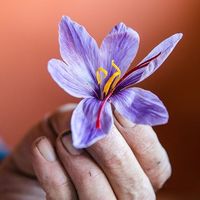 Francesco Sonetti's Photo