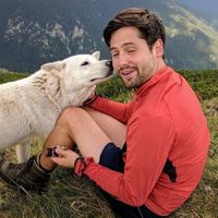 Фотографии пользователя Olivier Courten