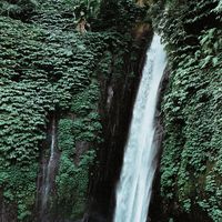 Arif Fitriawan's Photo