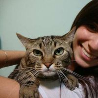 Nathalia Cury的照片