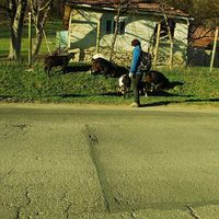 Szilard Barabas's Photo