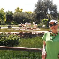 Margia Margia's Photo