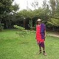 Daniel Shapa's Photo