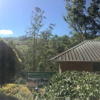 Ahmed Alazri的照片