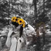 Helia Rakhshsavar's Photo