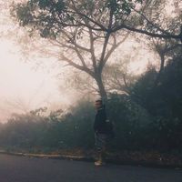 Jang Trịnh's Photo