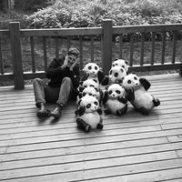 Shoval Attia的照片