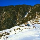 Triund Trek for New Year - McLeodganj 's picture