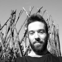 Francesco D的照片