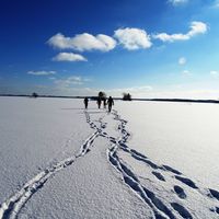 Reinhold Pommer的照片