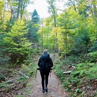 Hélène Lecomte的照片