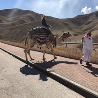 Fotos von Karina Fielomska