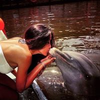 Fatima Santiago的照片