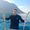 Mohammed Farag's Photo