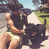 Michael Philip Reed的照片