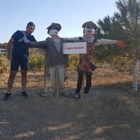 Fotos de Ömerhan Demir